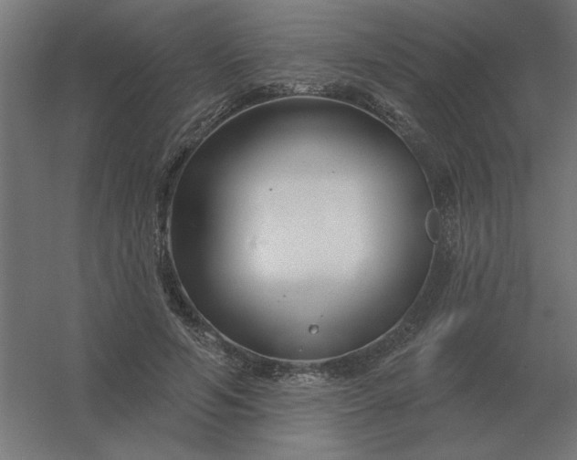 X0000054420594200508121753