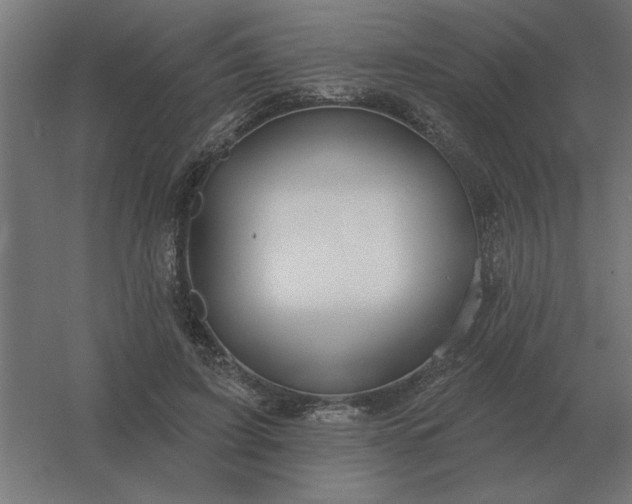 X0000054420595200508121753