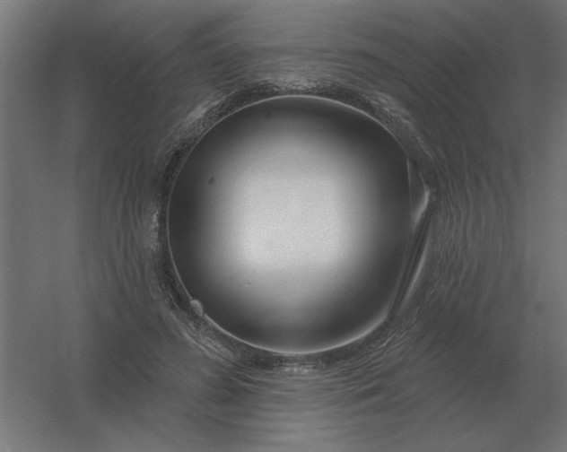 X0000054420596200508121753