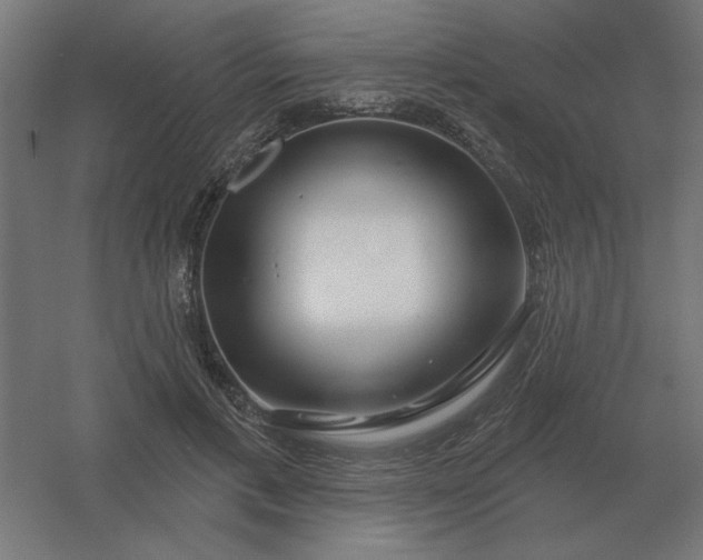 X0000054420597200508121753