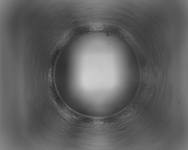 X0000054420598200508121753