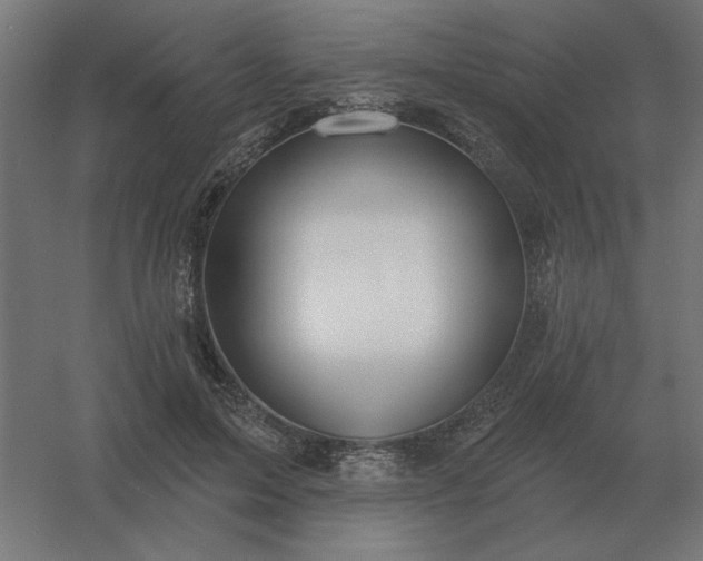 X0000054420599200508121753