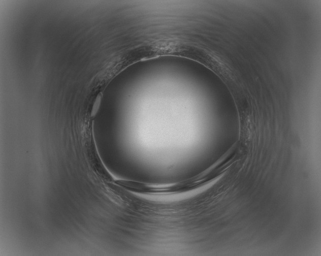 X0000054420601200508121753