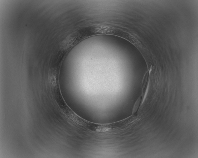 X0000054420602200508121753