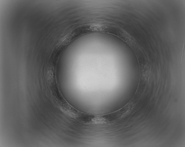 X0000054420603200508121753