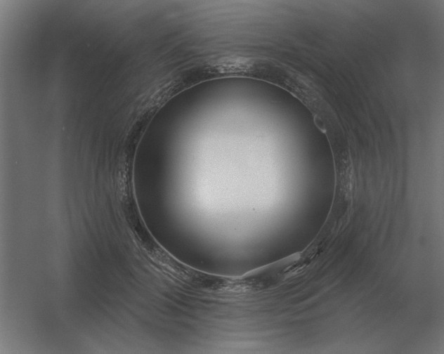 X0000054420604200508121753