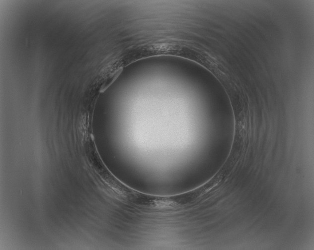 X0000054420605200508121753