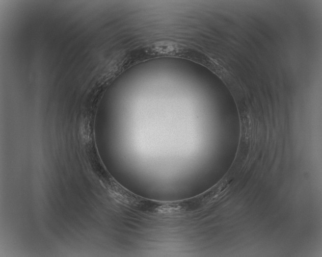 X0000054420606200508121753