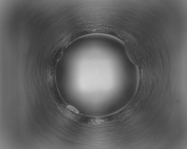 X0000054420607200508121753