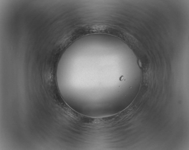 X0000054420608200508121753