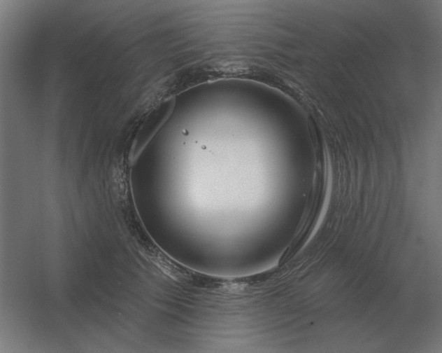 X0000054420609200508121753