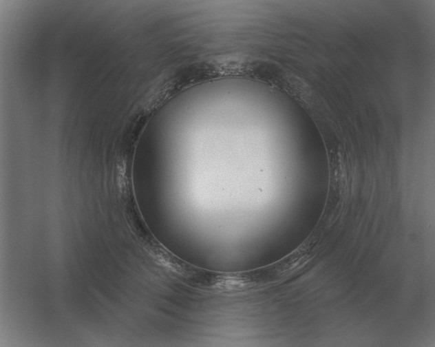 X0000054420610200508121753