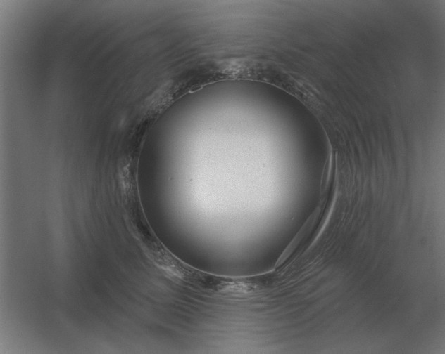 X0000054420611200508121753