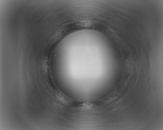 X0000054420612200508121753