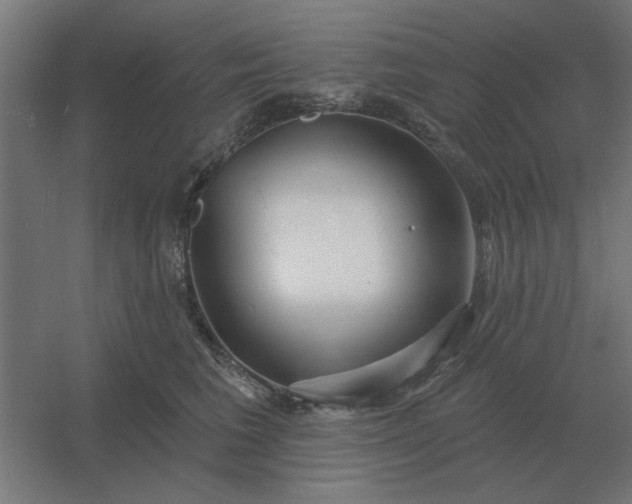 X0000054420613200508121753