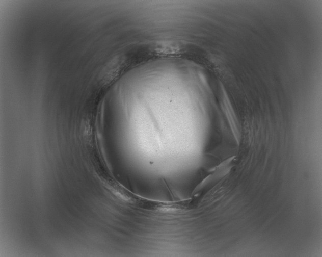 X0000054420614200508121753