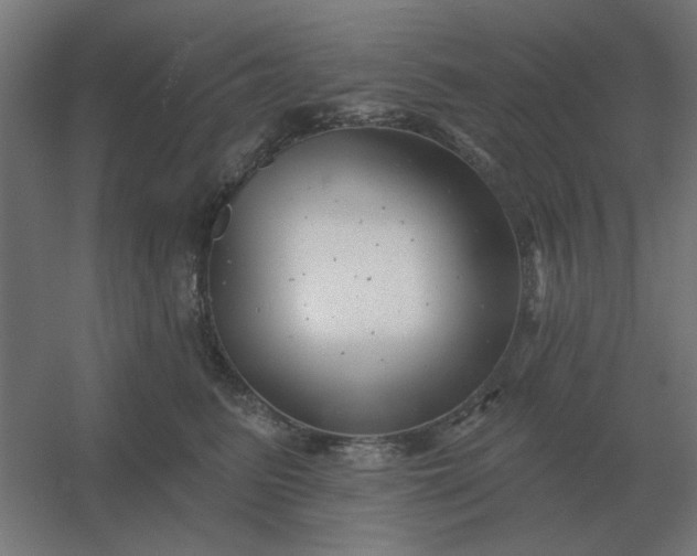 X0000054420615200508121753