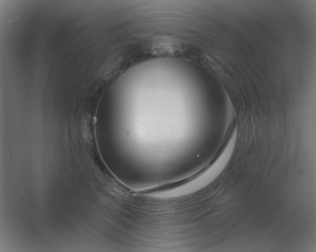 X0000054420616200508121753