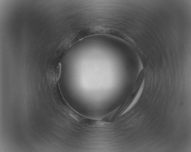 X0000054420617200508121753