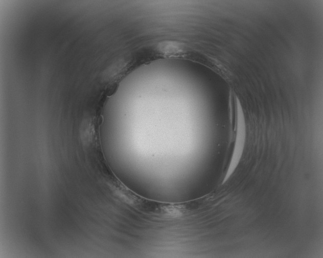 X0000054420618200508121753