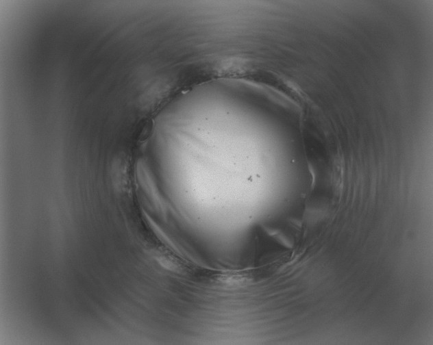 X0000054420619200508121753