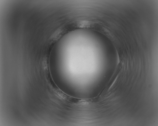 X0000054420620200508121753