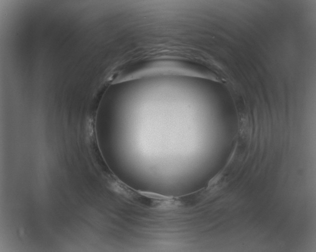 X0000054420621200508121753