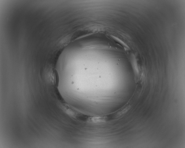 X0000054420622200508121753