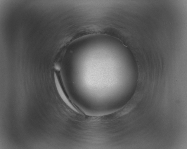 X0000054420624200508121753