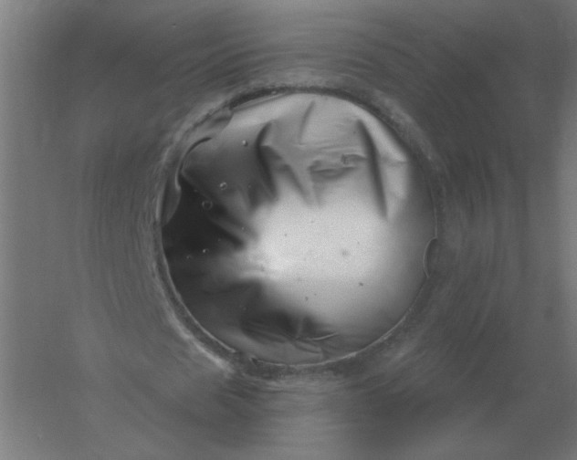 X0000054420625200508121752