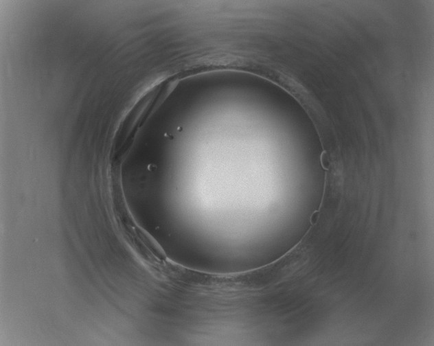 X0000054420626200508121752