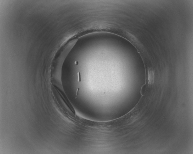 X0000054420627200508121752