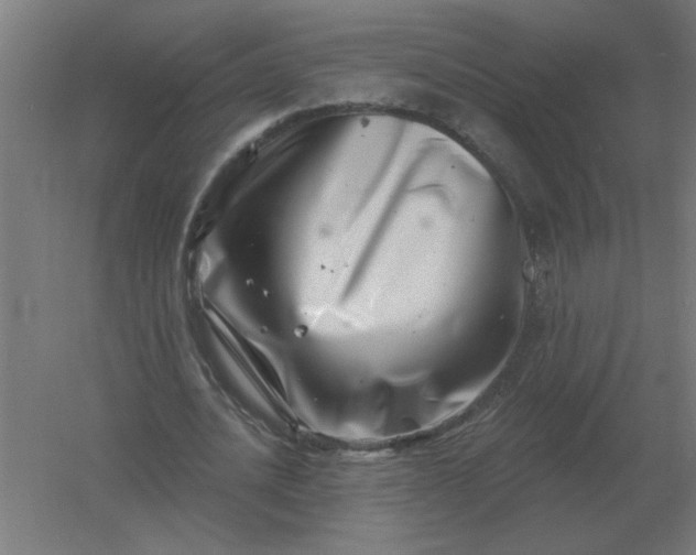 X0000054420628200508121752