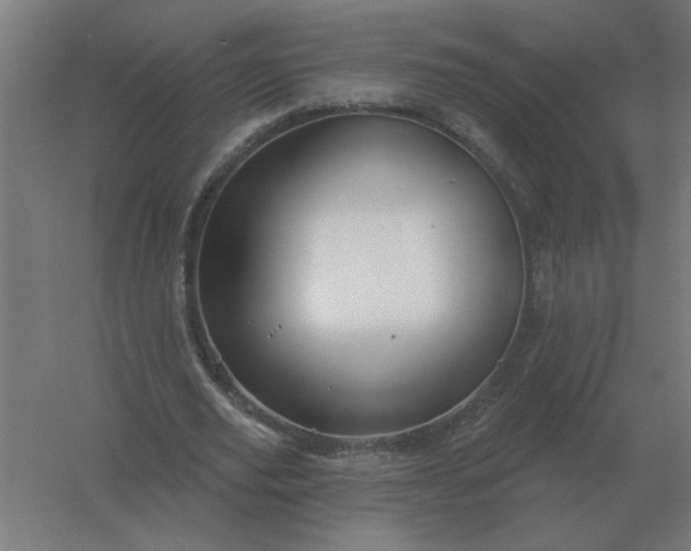 X0000054420629200508121752