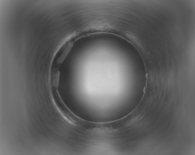 X0000054420630200508121752