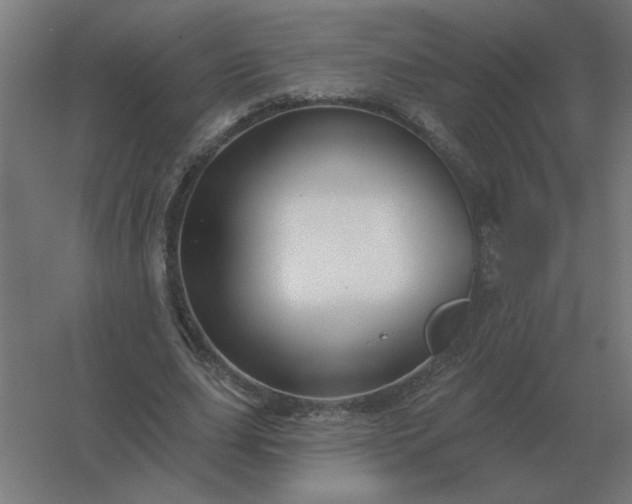 X0000054420631200508121752