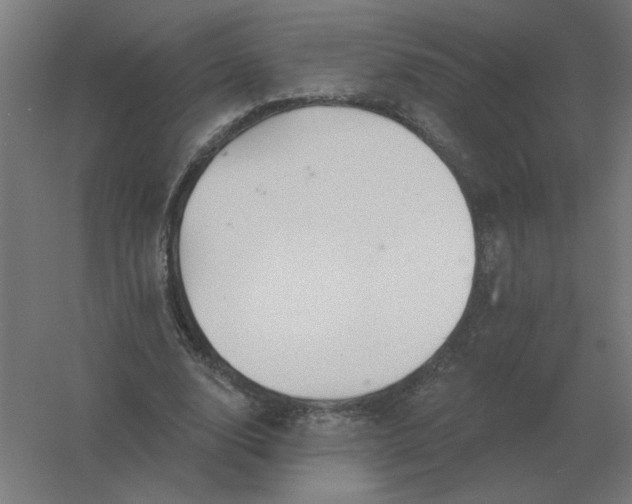 X0000054420632200508121752