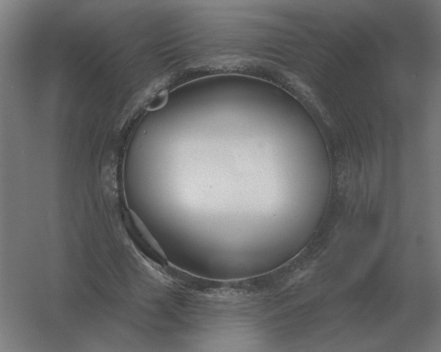 X0000054420633200508121752