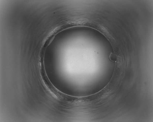 X0000054420634200508121752