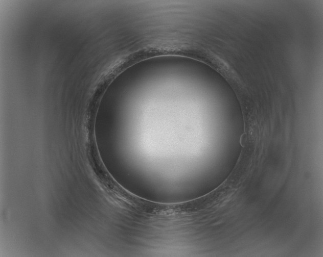 X0000054420635200508121752