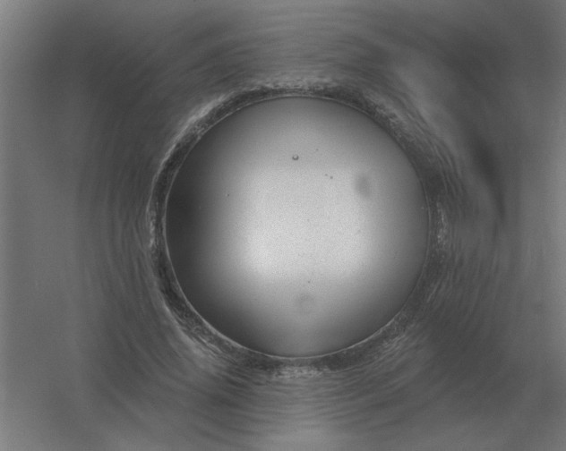 X0000054420636200508121752