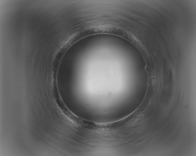 X0000054420637200508121752