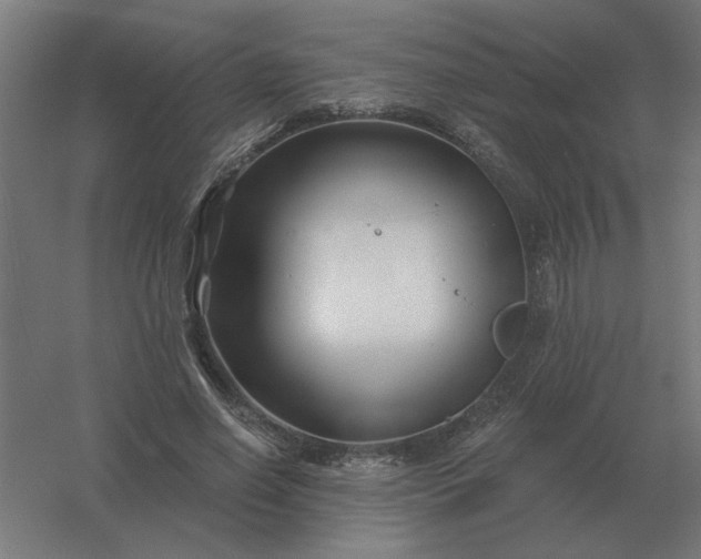 X0000054420638200508121752