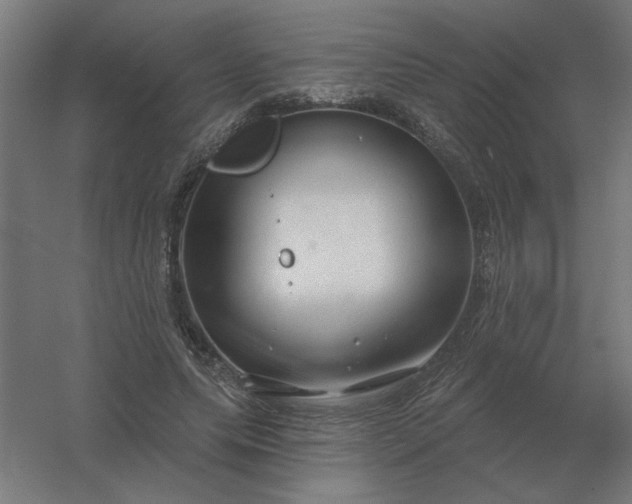 X0000054420639200508121752