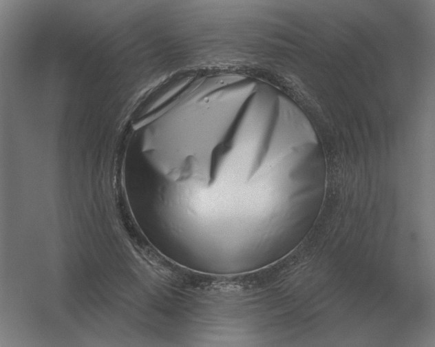 X0000054420640200508121752