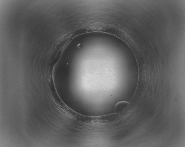 X0000054420641200508121752