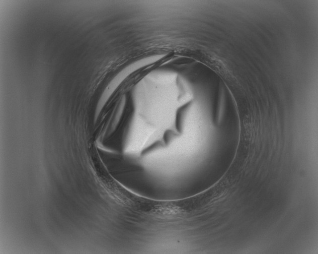 X0000054420642200508121752