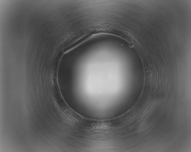 X0000054420643200508121752