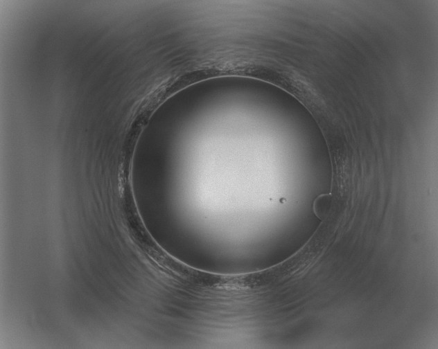 X0000054420644200508121752