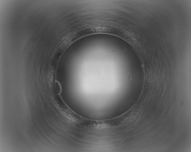 X0000054420645200508121752